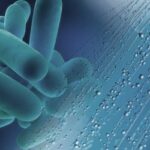 cos'è la legionella nelle acque