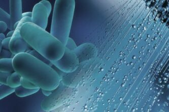 cos'è la legionella nelle acque